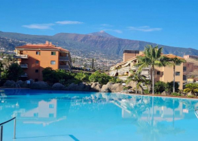 Retama del Teide, Puerto de la Cruz